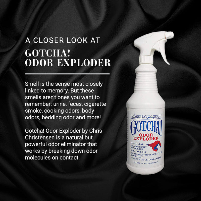 Load image into Gallery viewer, Chris Christensen Gotcha! Odor Exploder
