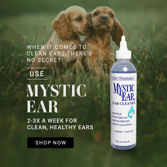 Load image into Gallery viewer, Chris Christensen Mystic Ear Cleaner
