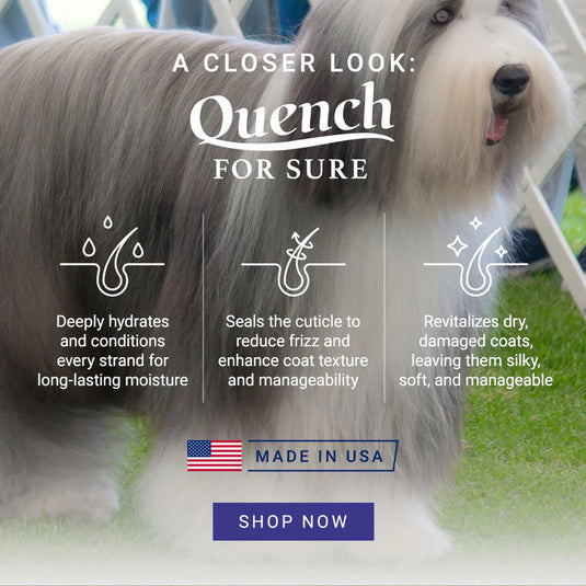 Chris Christensen Quench For Sure Leave-in Conditioning Spray