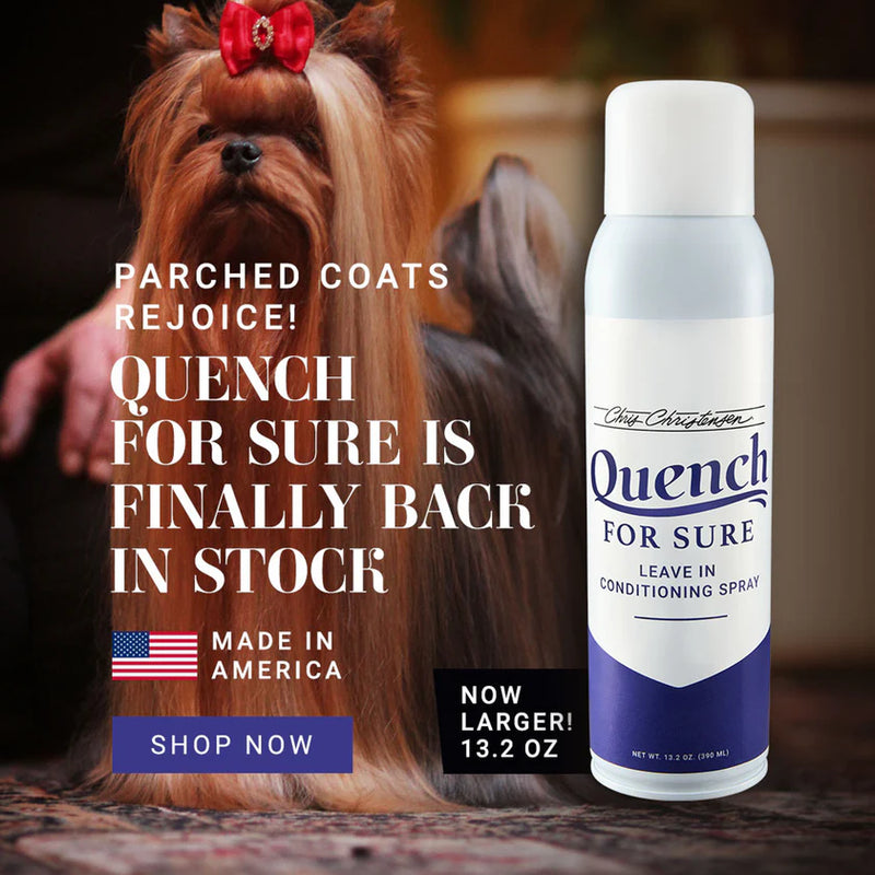 Load image into Gallery viewer, Chris Christensen Quench For Sure Leave-in Conditioning Spray
