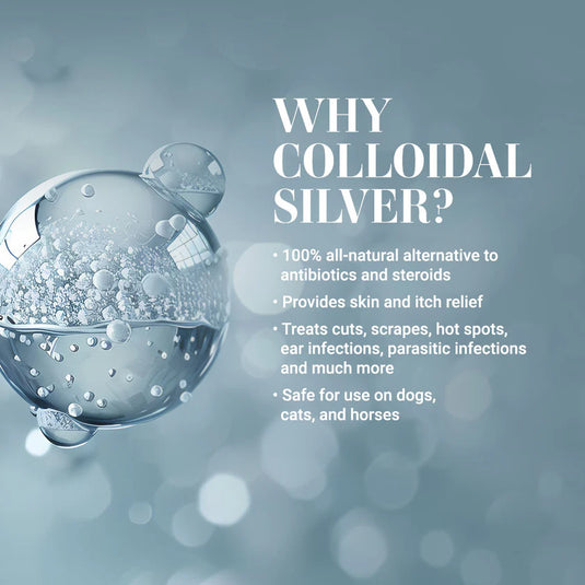 Chris Christensen Peace and Kindness Shampoo